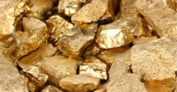 quangvang vimico 3418520250331225048 – Bonfiglioli Vietnam