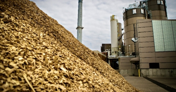 53db9e23ae51210f7840 18595720 – Bonfiglioli Vietnam